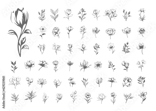 Set of aesthetic line art flowers and leaves
