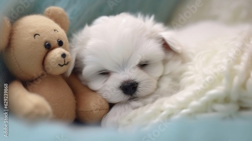 Cute sleeping white puppy and teddy bear on the bed.