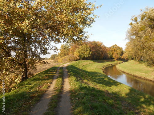 Riverside landscape, river, trees, vegetation, sunny autumn day. © TK_Office
