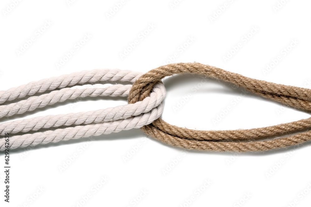 Bundled ropes on white background
