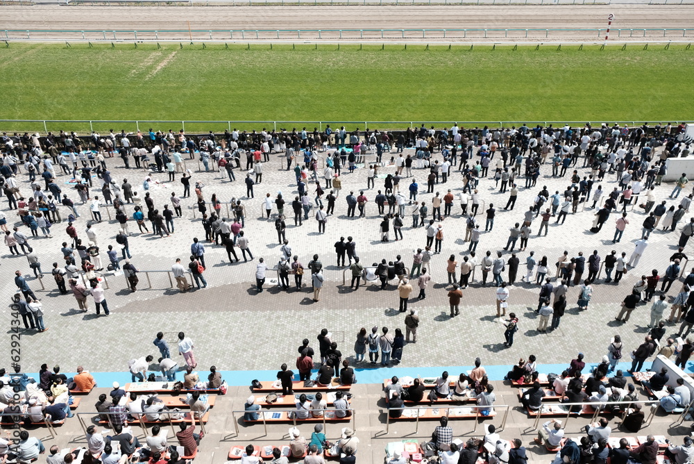 Naklejka premium 日本の競馬場のある風景