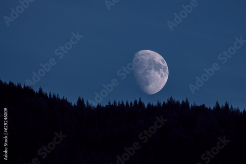beautiful half moon on the clear night sky with tree silhouettes on the mountains