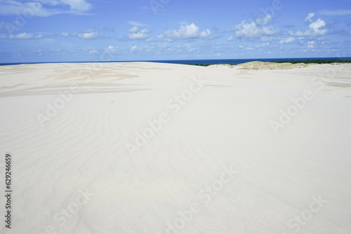 Sandy dunes in Slowinski National Park in Poland.   eba
