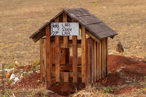 Uma casinha de madeira feita sobre um ninho de coruja, com uma placa com o texto 
