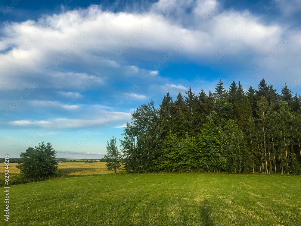 A landscape in full nature showing the countryside with a green meadow and a forest in the background in Poland