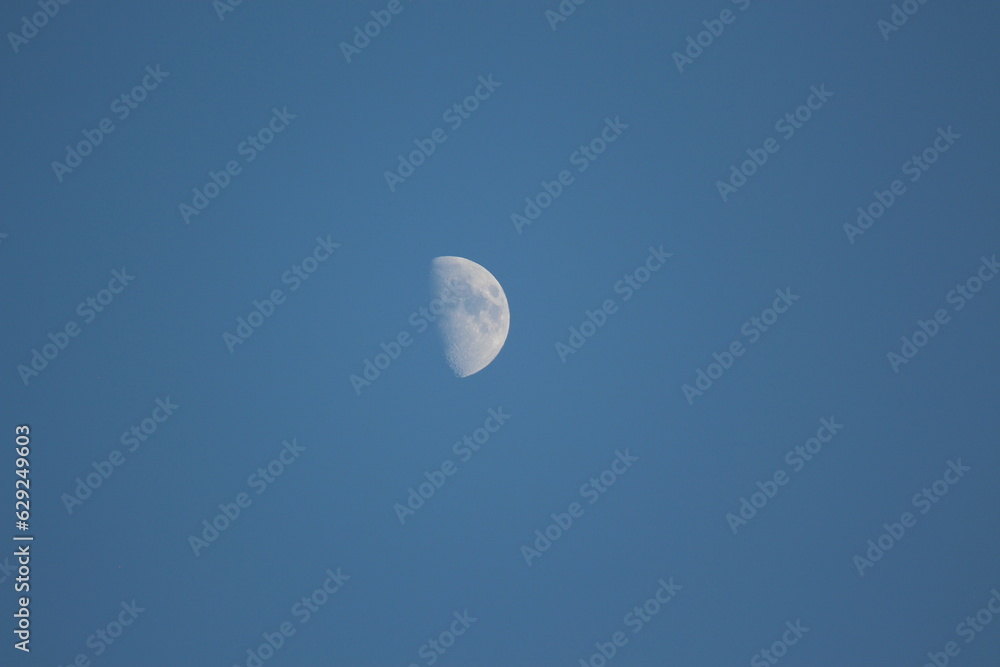 Half moon in the very blue sky Half moon in the very blue sky