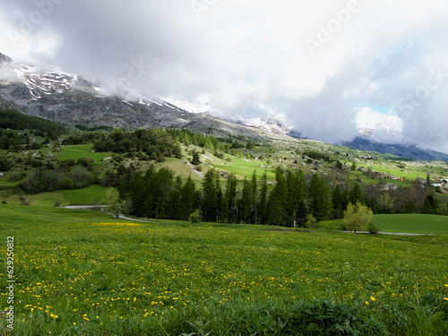 Rural landscape with fields and trees in front of Dévoluy massif in Hautes-Alpes in France.