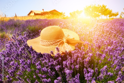 Fototapeta Naklejka Na Ścianę i Meble -  Sunny field of lavender with summer straw hat