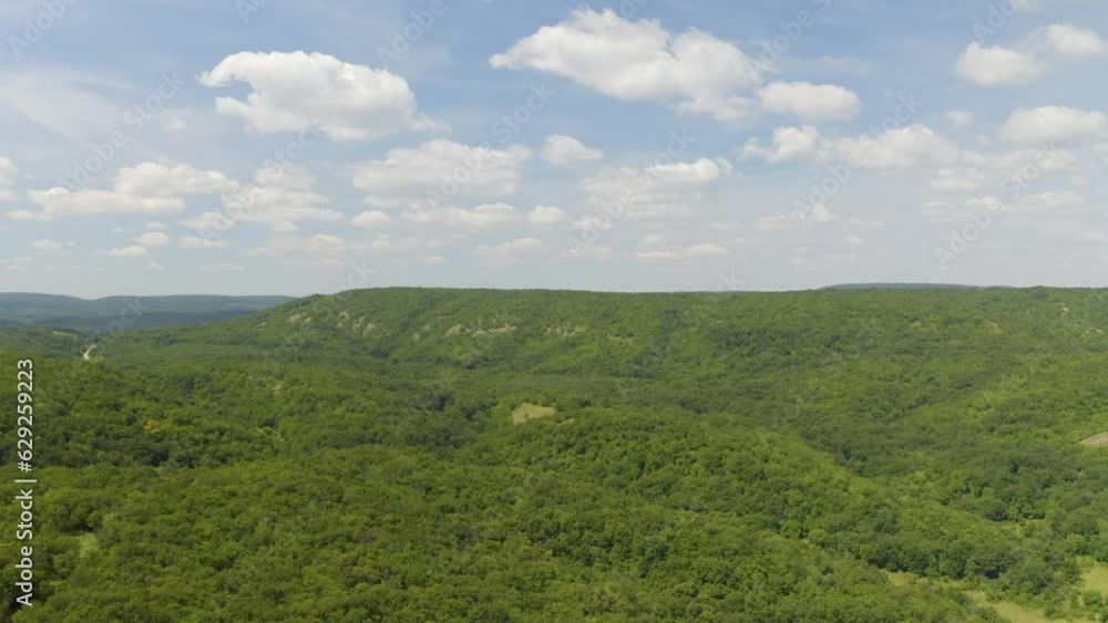 Aerial video of a valley covered with trees with green leaves on a sunny summer day Aerial video of a valley covered with trees with green leaves on a sunny summer day