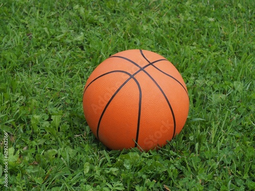 Basketball on grass. Sports activities and pastime. The result of the competition