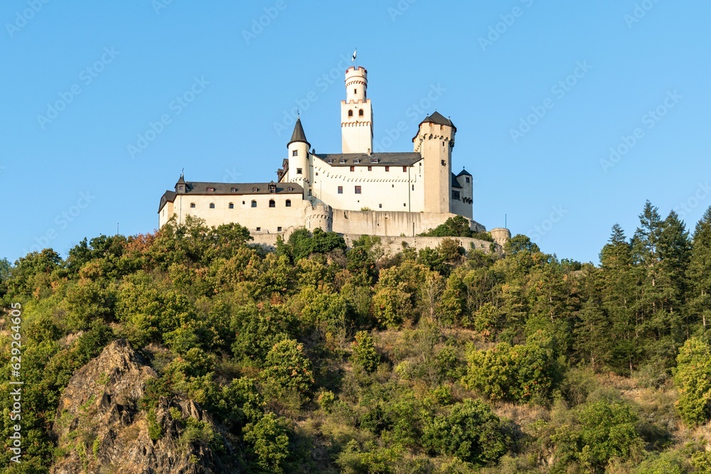 Majestic castle Castle at Rhine Valley