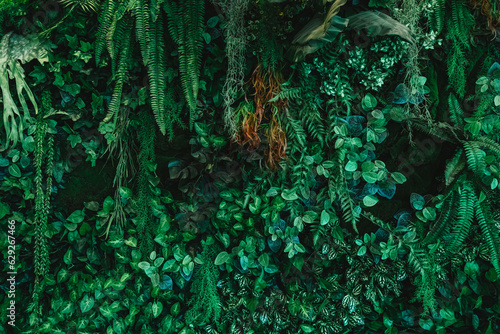 Group of Green leaf and natural background. Close up tropical green leaves texture and abstract foliage. Tropical leaf nature concept.