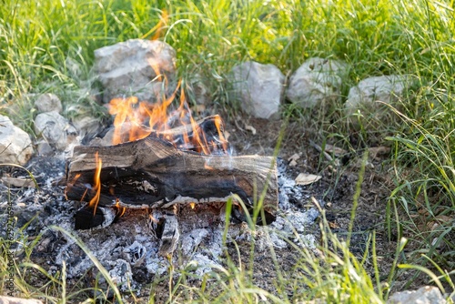 Campfire burning in the field surrounded by green grass and stones
