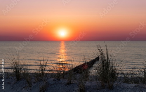 the sun sets behind the sea with plants on the beach in Ahrenshoop photo