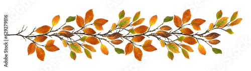 Autumn twig with colorful l...