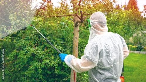 farmer in protective suit sprays fruit trees in garden