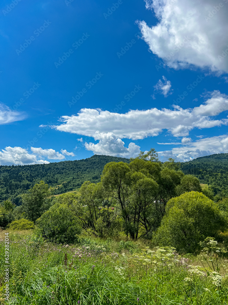 Awesome Carpathian mountains landscape background with forest and clouds on the summer season Awesome Carpathian mountains landscape background with forest and clouds on the summer season