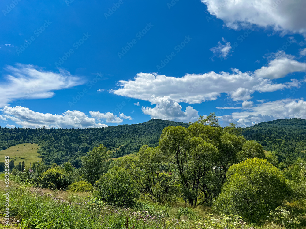 Awesome Carpathian mountains landscape background with forest and clouds on the summer season  