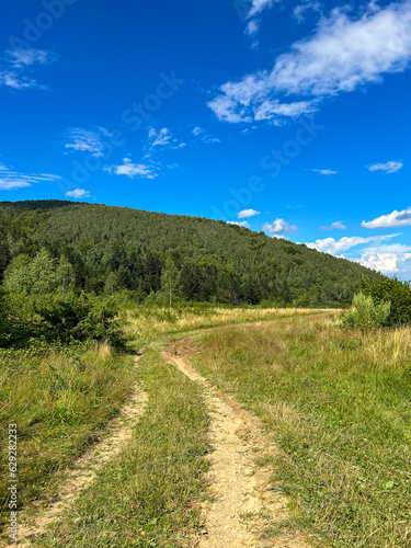 Awesome Carpathian mountains landscape background with forest and clouds on the summer season 