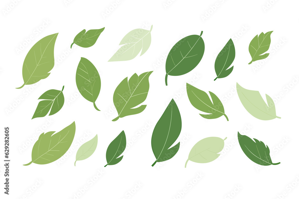 Vector set of green leaves isolated on a white background.