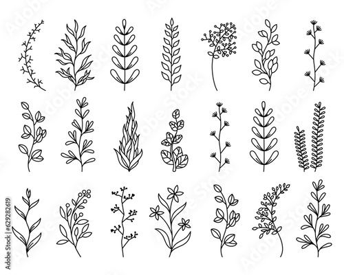 Flores con ramas de primavera decorativas lineales. Vectores de variedad de plantas.