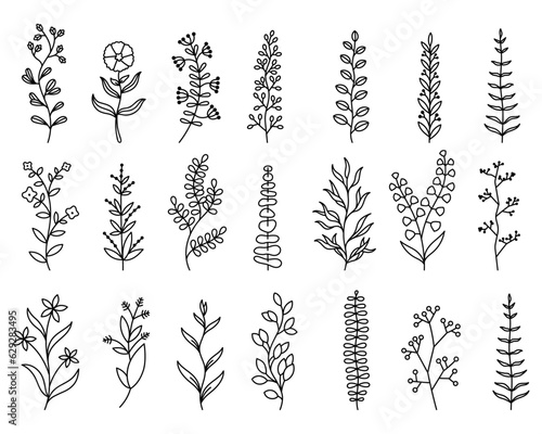 Plantas y flores con ramas de bosque decorativas lineales. Vectores de hojas. Ilustraciones floreadas.
