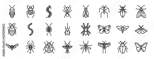 set of 24 outline web insects icons such as madagascar hissing cockroach  beetle  worm  ant  firefly  spider  leaf insect vector icons for report  presentation  diagram  web design  mobile app