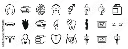 set of 24 outline web body parts icons such as blond female short hair shape  wound in a hand  brain upper view  upper torso of a woman  male and female gender  man  male vector icons for report 