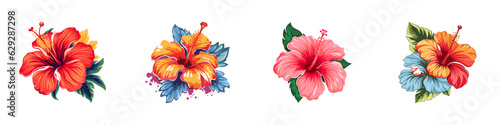 Hibiscus flower icon set. Vector illustration.