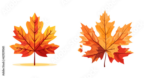 dry leaf for autumn element vector decoration