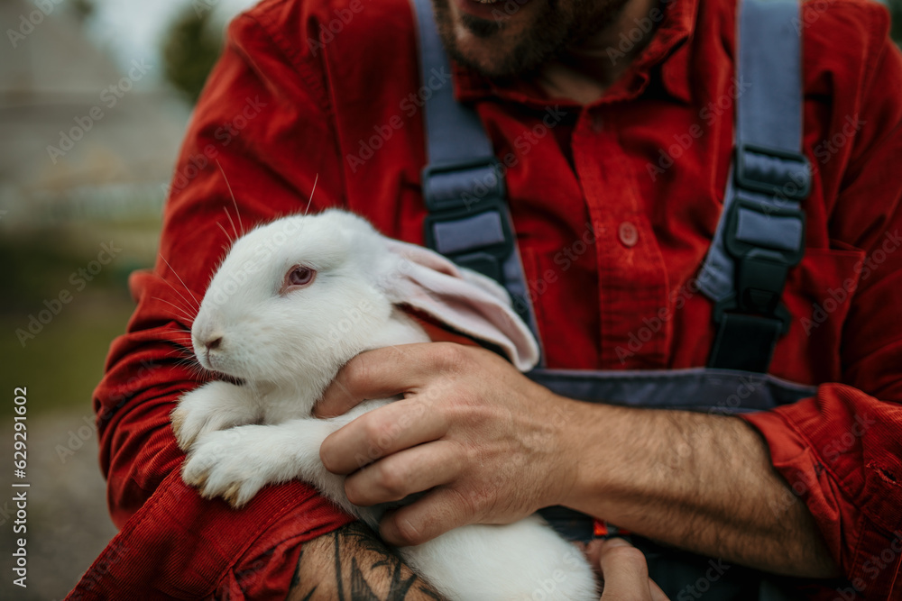Close up image of a countryman holding a white rabbit on his farm. Close up image of a countryman holding a white rabbit on his farm.