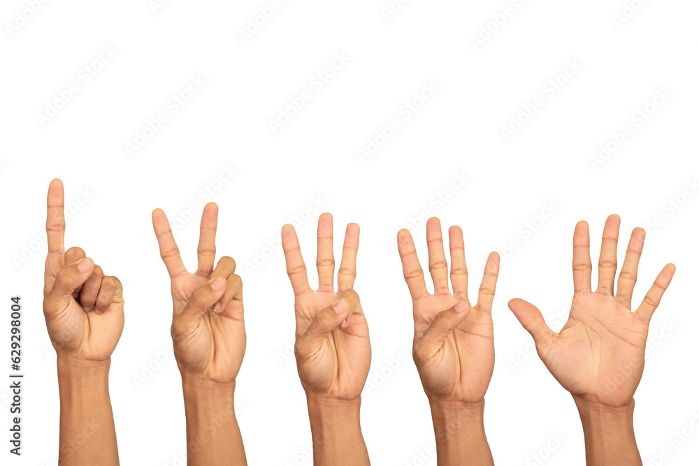 Set of hands. One to five fingers isolated on white background. Set of hands. One to five fingers isolated on white background.