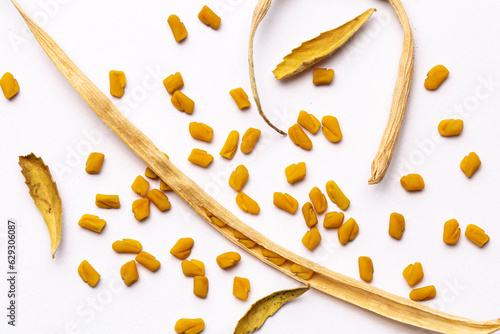 Wholesome and Flavorful: Fenugreek Seeds and Dried Legumes on White Background photo