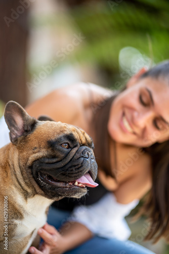 Fototapeta Naklejka Na Ścianę i Meble -  a french bulldog and a young beautiful girl are hanging out