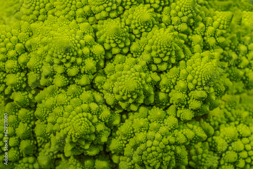 romanesco broccoli roman cauliflower inflorescence head of fresh green cabbage fractal exotic vegetable background photo