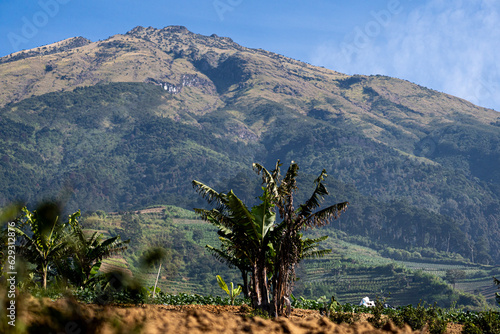 top of the mountain