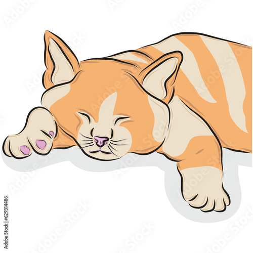 Illustration of a cute cat , vector illustration