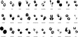 Black animal tracking footprints. Isolated wild animal paws prints, lizard, crocodile and cat. Reptile and bird foots, decent vector hunter set