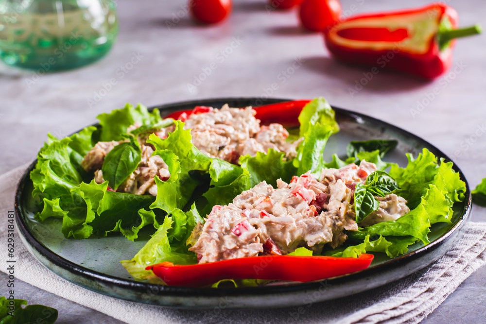 Canned tuna salad with vegetables on lettuce leaves on a plate Canned tuna salad with vegetables on lettuce leaves on a plate