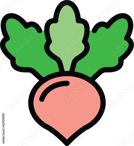 Vegan beet icon outline vector. Food diet. Eco free color flat