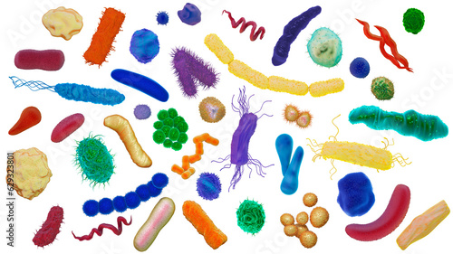 Different colorful shapes and types of bacteria on white background  could represent helpful bacteria  good gut bacteria  germs  dirt  lack of hygiene  3d illustration