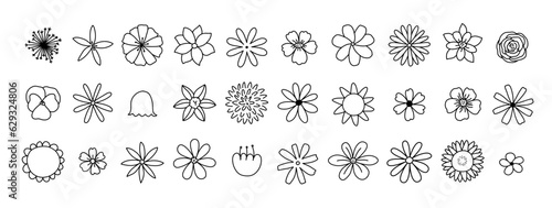 Simple Doodle Outline Flowers Set. Botanical modern trendy vector elements