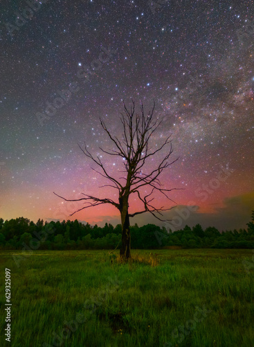 Starry night landscape photo