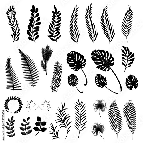 Leaves collection, silhouettes of trees and grass leaves. Vector illustration.
