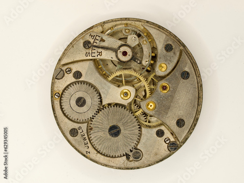 Clock Works of Vintage Pocket Warch