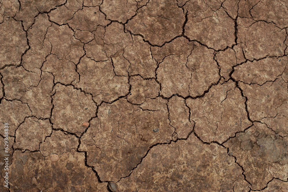 dry and cracked soil background dry and cracked soil background