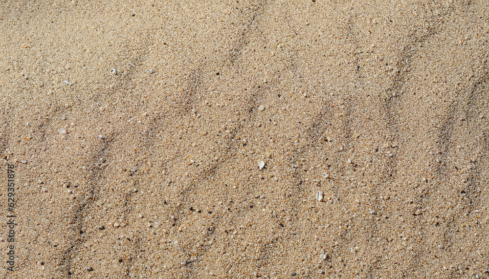 Sand on the beach for background. Brown beach sand texture as background. Close-up.