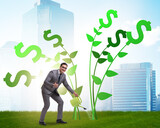 Money tree concept with businessman watering