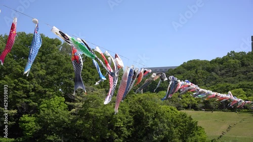 4K,鯉のぼり,風景, 青空, 自然, 野原, 草, 緑
