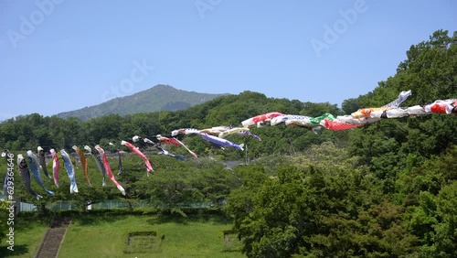 4K,鯉のぼり,風景, 青空, 自然, 野原, 草, 緑
